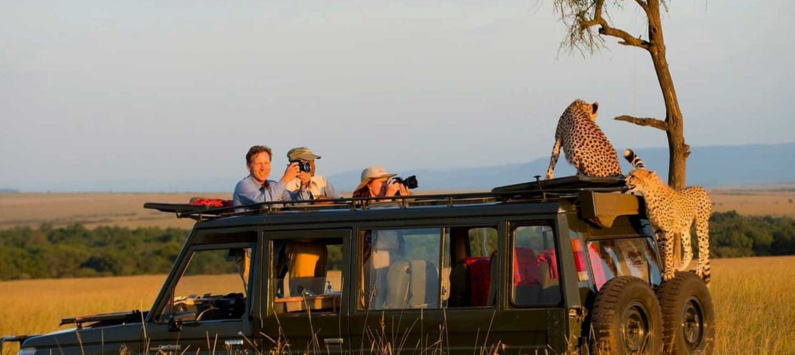 repeat circuit travelers in serengeti