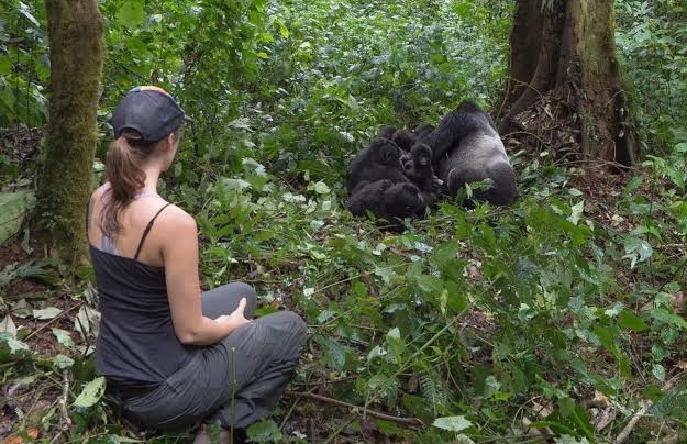 spotting a silver buck during an habituation