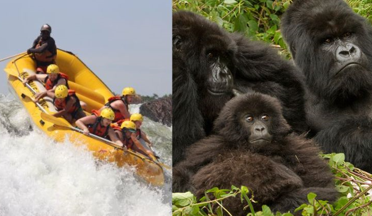 blending an African gorilla safari with rafting