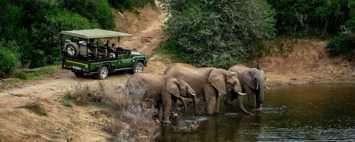 South Africa family safari at Addo Elephant National Park
