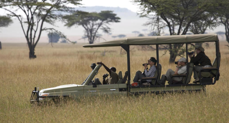 first time travelers on safari