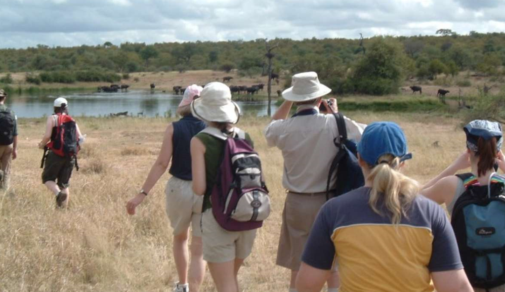 guided group walk
