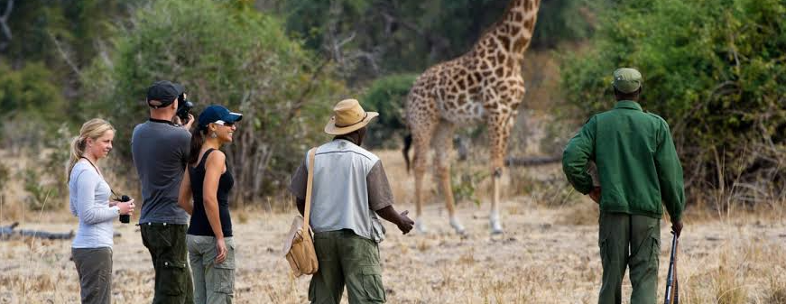 travelers being guided