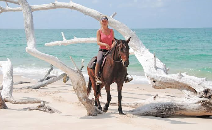 horse ridding along the beach shore