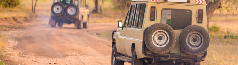 insured travel coverage