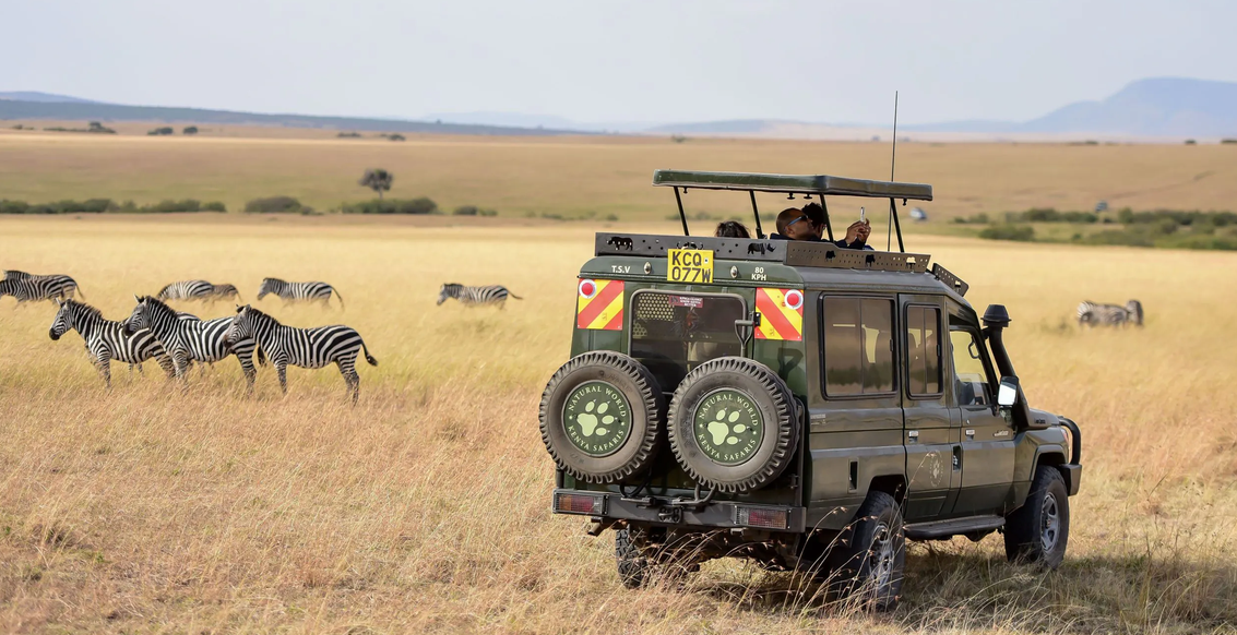 complete kenyan safari guide