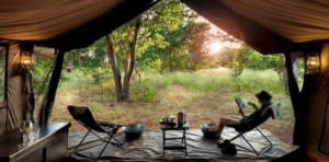 mobile safaris africa