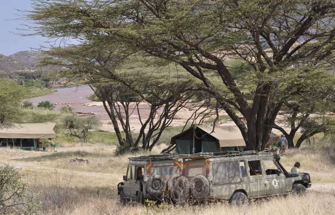 traveler spotted with tents in the wild