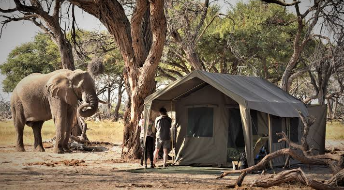 a tent constructed in a national park