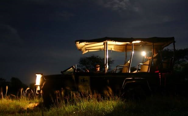 Night Game Drives in Africa: What to Expect