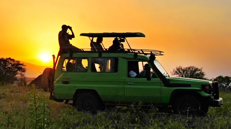 first timers on a safari