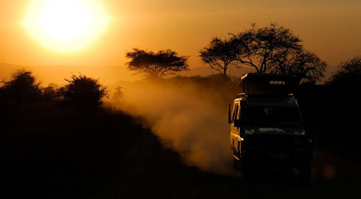 clear shots taken on safari