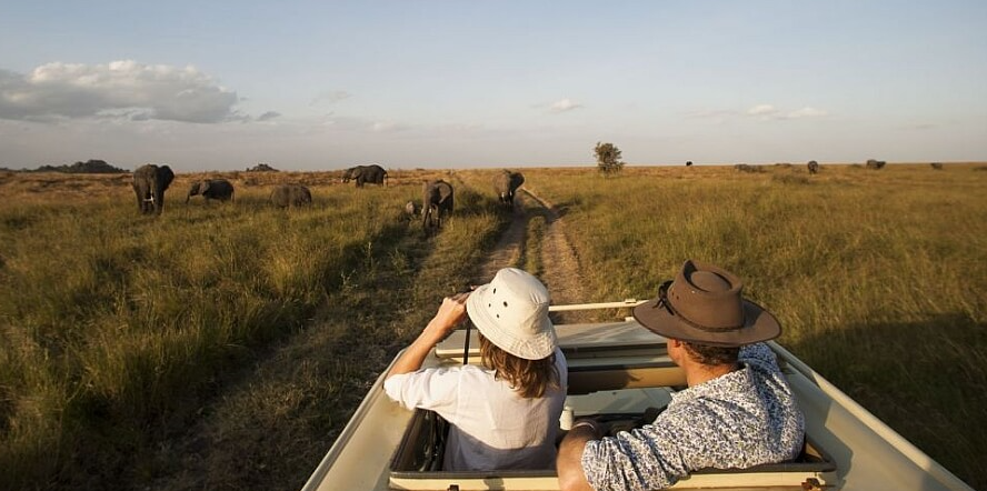 pop up safari car with tourist on safari