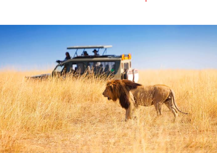 most loved safari circuits by repeat vistors