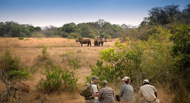tourists sighted on an african safari