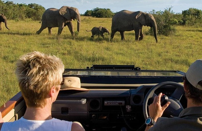self driveson n african safari