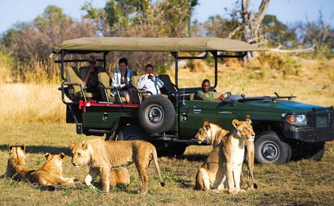 south africa vs botswana safari