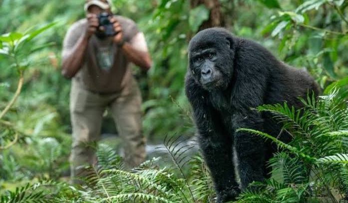 close tourist encounter
