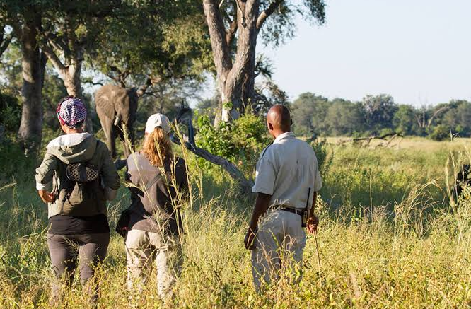 tourists-on-guided-walk-experiement