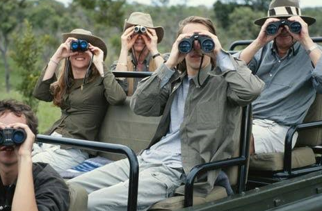 tourists viewing wild life