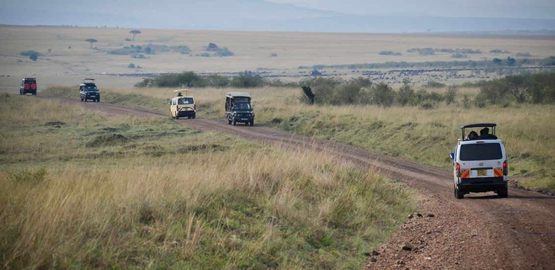 travel insured vehicles on safari