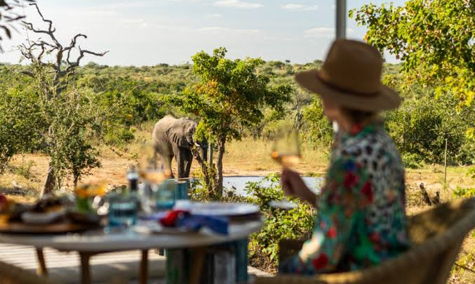 repeat traveler having good time on safari