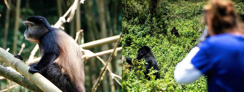 close encounter of trekking