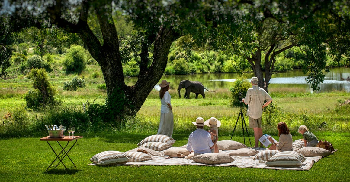 Luxury South Africa Safari with elephants in the wild