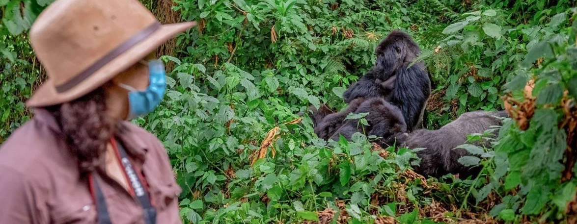 what is required for a gorilla fitness
