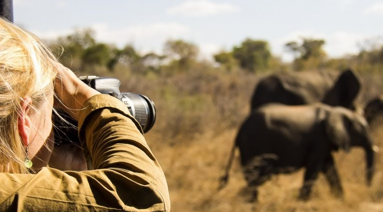 wildlife spotting tip