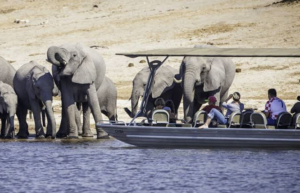boat safaris africa