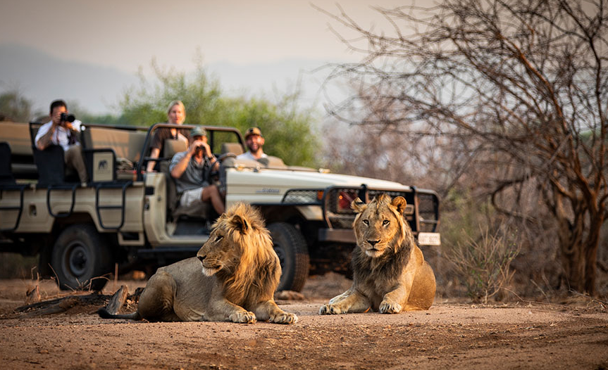 hidden costs on a frican safari