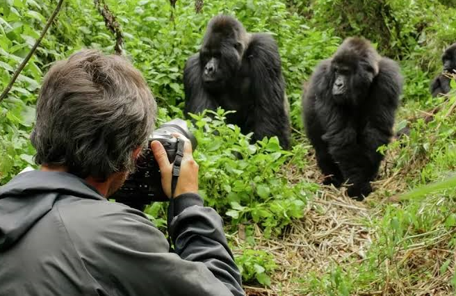 photography in bwindi