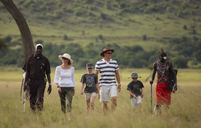 pros and cons of an African safari