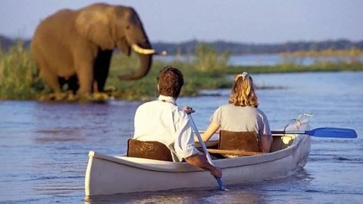 self ride africa safaris