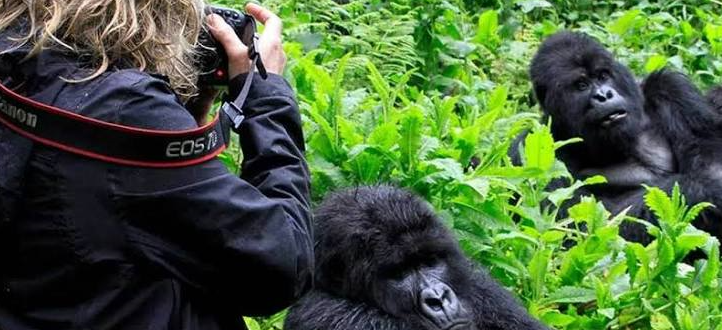 tourist taking forill apics in bwindi