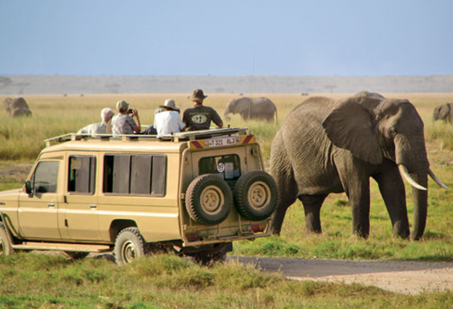 what not to do on an african safari